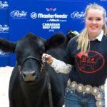 Layne Chantler of Alliston, Ont. brought this show heifer to the Royal Agricultural Winter Fair in 2019. (Farmtario photo by Jennifer Glenney)
