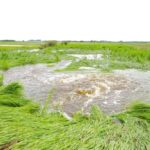 Roads south of Brandon on June 29, 2020 show the evidence of being overtopped by floodwaters the previous day.
