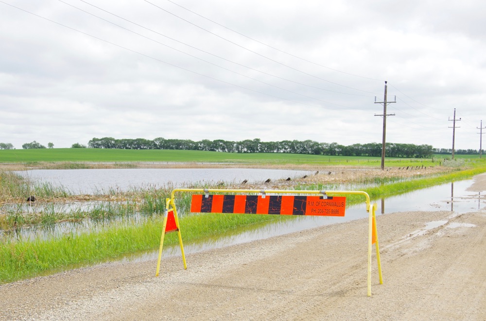 While not as impacted as roads north of Brandon, roads in the R.M. of Cornwallis near the Brandon Hills also saw overflowing roads and flooded fields June 28-29. 