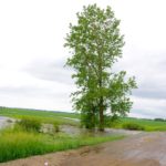 Floodwaters overtake a rural road in the R.M. of Elton June 29, following over 150 millimetres of rain in the region.