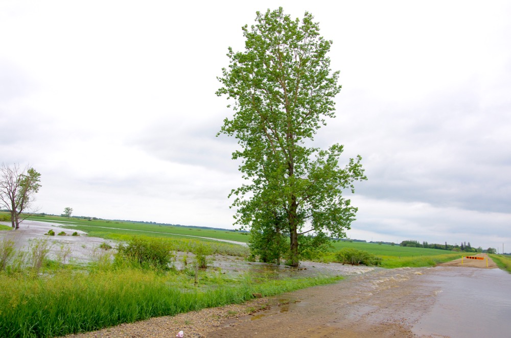 Floodwaters overtake a rural road in the R.M. of Elton June 29, following over 150 millimetres of rain in the region.