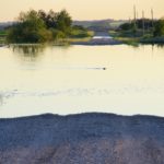 Local wildlife takes advantage of the sudden increase in water between Rapid City and Rivers July 1.