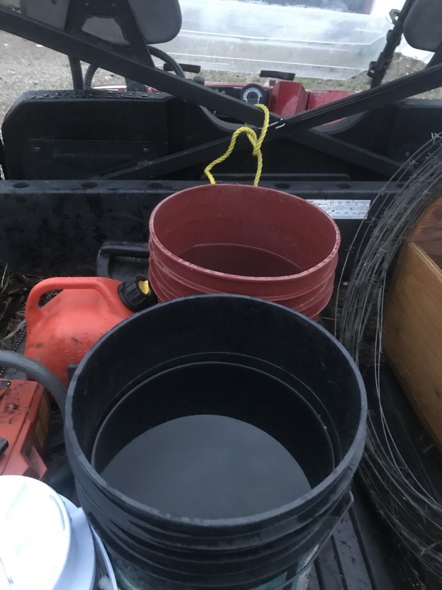Empty buckets left out overnight June 28 display the scale of rainfall near Rivers during the first of what would end up being a string of storms into the first week of July. 