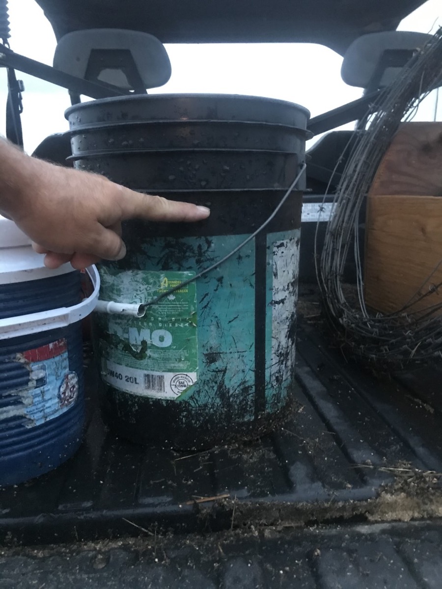 Empty buckets left out overnight June 28 display the scale of rainfall near Rivers during the first of what would end up being a string of storms into the first week of July.
