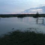 Trent Hedley's pasture near Rivers goes underwater after the first of several storms June 28.