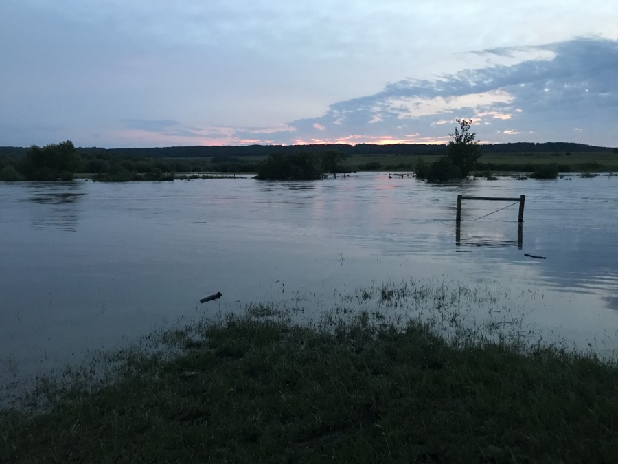 Trent Hedley's pasture near Rivers goes underwater after the first of several storms June 28.