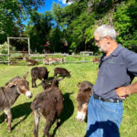 Francois Labelle, seen here with his miniature donkeys, says the grain industry was the source of a long and interesting career for him.