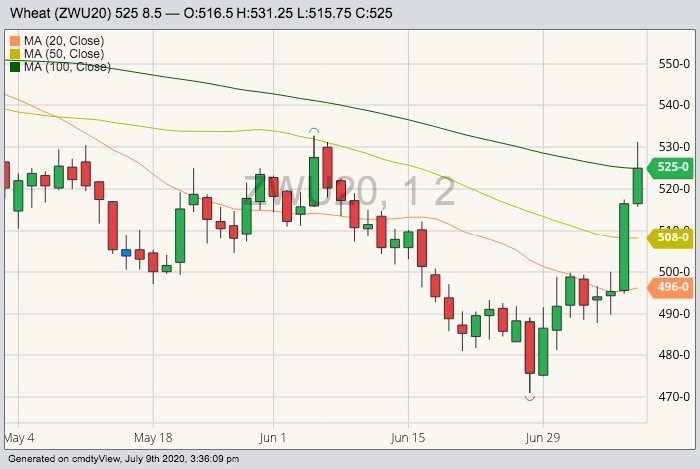CBOT September 2020 wheat with 20-, 50- and 100-day moving averages. (Barchart)
