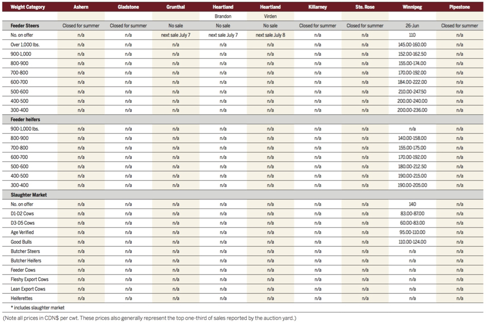 Slaughter pace improved, cattle backlog remains