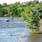 Heavy rains battered parts of southwestern Manitoba in late June and early July, but so far that hasn’t meant a flood of crop insurance claims.