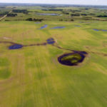 Fields north of Brandon still show significant standing water and the first hints of crop damage a week after rainfalls that locals counted in the inches.