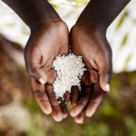 It has been estimated that 250 million people are at risk of facing acute hunger due to the COVID-19 pandemic.