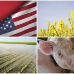 Farm Credit Canada says despite headwinds, there are reasons for Manitoba farmers to be optimistic.