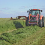 Forage producers have a new tool to help them pick and manage their seeding choices.