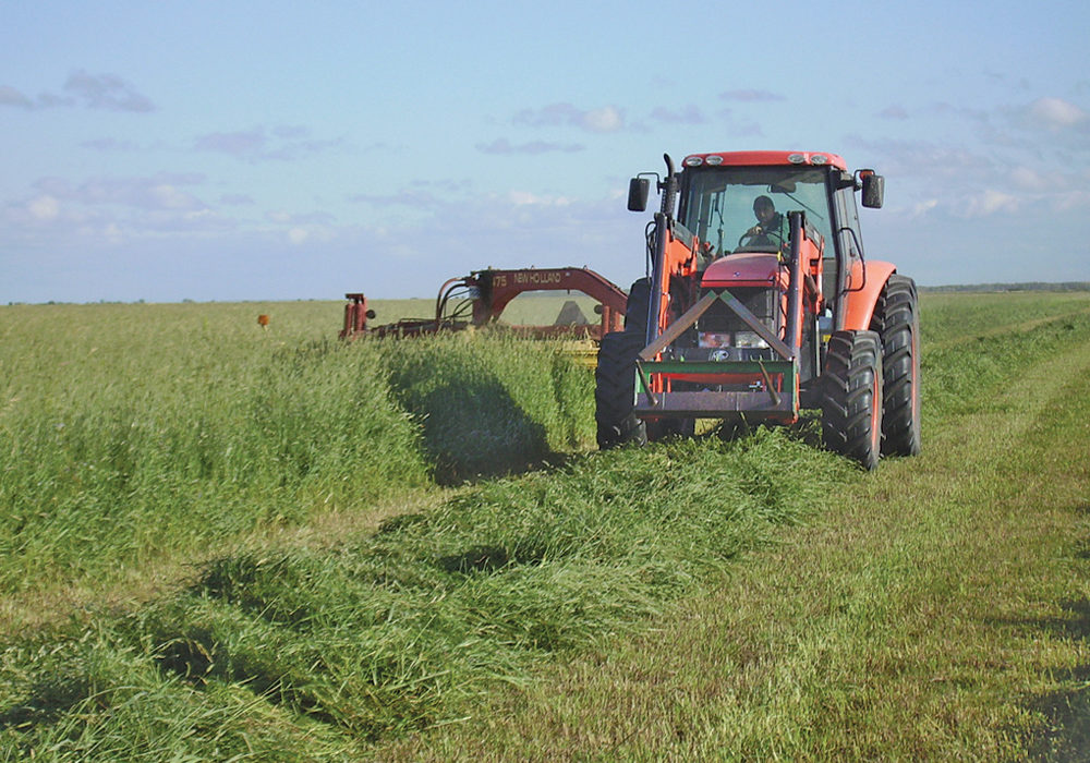 Forage producers have a new tool to help them pick and manage their seeding choices.