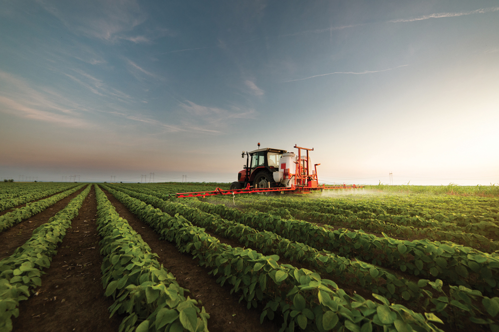 Precautions to take when applying dicamba