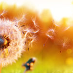 Sunny skies by themselves don’t necessarily lead to a heat wave; we often can see plenty of sunny days in a row without experiencing
heat-wave conditions.