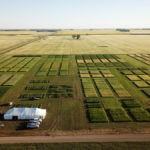 Participating in the AIM Discovery Plus online farm show allowed the Westman Agricultural Diversification Organization (WADO) to take its research to farmers for the first time.