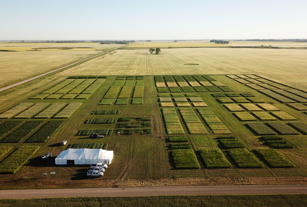 Participating in the AIM Discovery Plus online farm show allowed the Westman Agricultural Diversification Organization (WADO) to take its research to farmers for the first time.