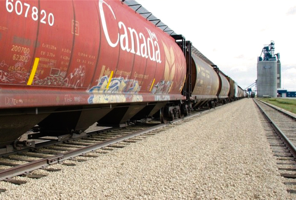 As COVID has caused the global economy to grind to a halt, grain was in demand and rail capacity was suddenly freed up.