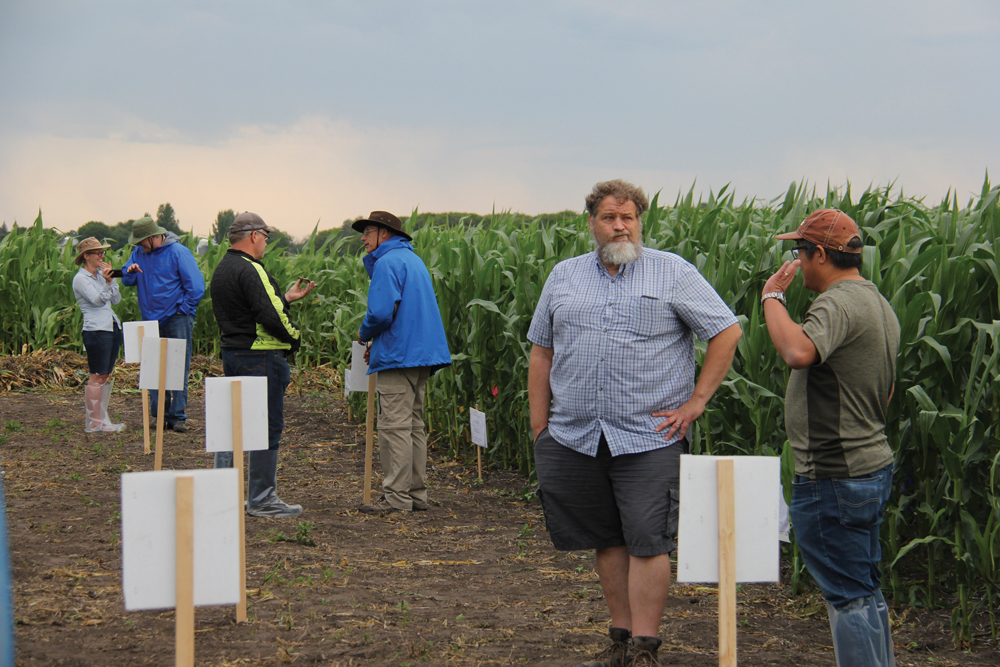University of Manitoba researchers Mario Tenuta, Don Flaten and Xiaopeng Gao, along with provincial soil fertility specialist John Heard, were at the field tour site July 23 to answer questions.