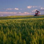 File photo of an Alberta wheat field. (ImagineGolf/E+/Getty Images)