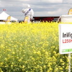 An InVigor canola plot at Ag in Motion in 2019.