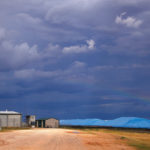 Piles of harvested wheat are covered with plastic sheets near the depot for GrainCorp, Australia’s largest listed bulk grain handler, located in the New South Wales town of Burren Junction, in this file photo.