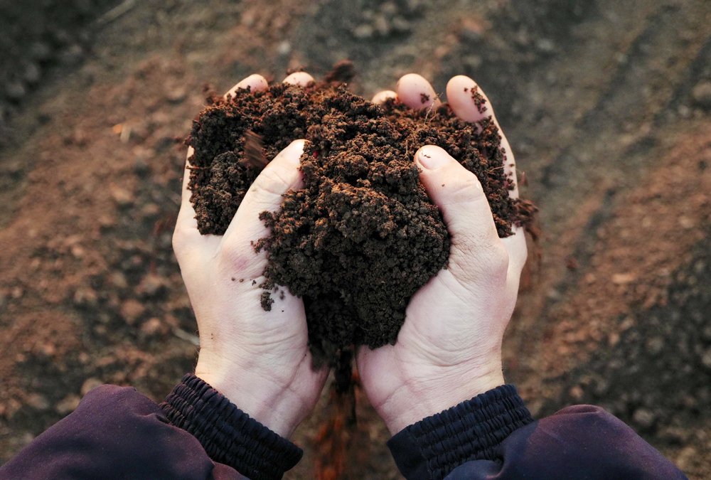 Photo: Getty Images.