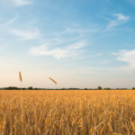Some are worried that the federal government will kibosh plant breeding as the COVID deficit grows.