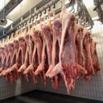 Manitoba’s pork sector is now facing the thorny question of where to send animals if Maple Leaf’s Brandon plant can’t stay open.