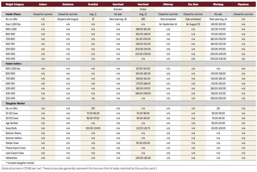 Cattle prices stronger despite summer doldrums