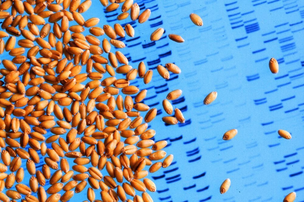 (Jack Dykinga photo courtesy ARS/USDA)
