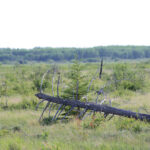 The ag sector turned to tools like AAFC’s Drought Watch during dry years like last year.
