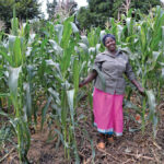 African farmers disrupted by COVID will benefit from funds from the Canadian government. The Canadian Foodgrains Bank says such help is sorely needed.