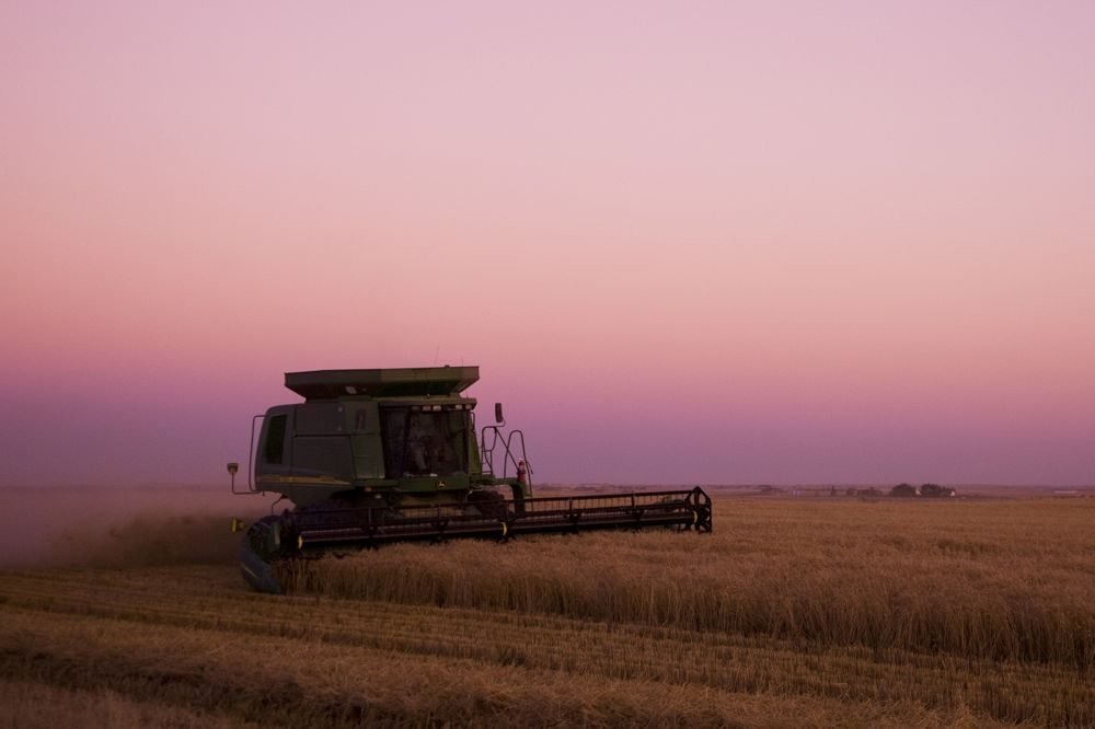 (Photo courtesy Canada Beef Inc.)
