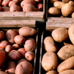 Timelines to redistribute excess food supplies will vary on the types of food being delivered.