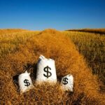The stolen canola was worth about $25,000.