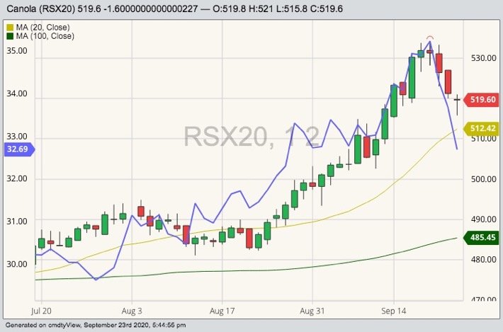 ICE November 2020 canola (candlesticks) with 20- and 100-day moving averages and CBOT October 2020 soyoil (blue line). (Barchart)
