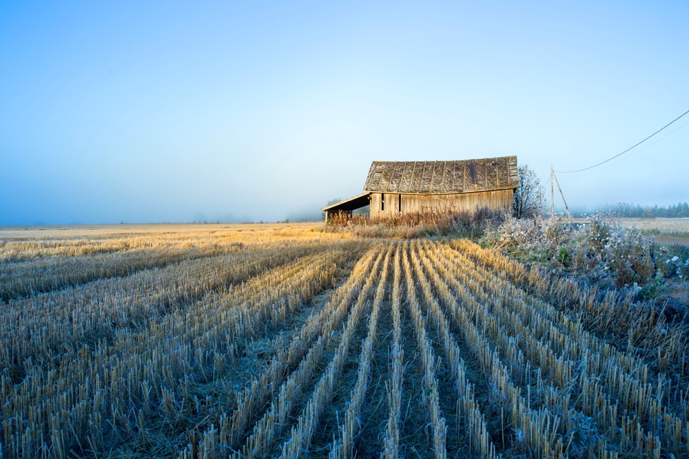 When should we normally expect fall frost?
