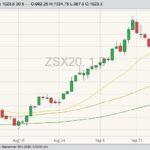 CBOT November 2020 soybeans with 20-, 50- and 100-day moving averages. (Barchart)
