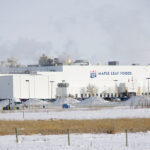 The union representing workers at Brandon’s Maple Leaf Foods plant continues to call for it to be temporarily closed due to staff COVID-19 cases.