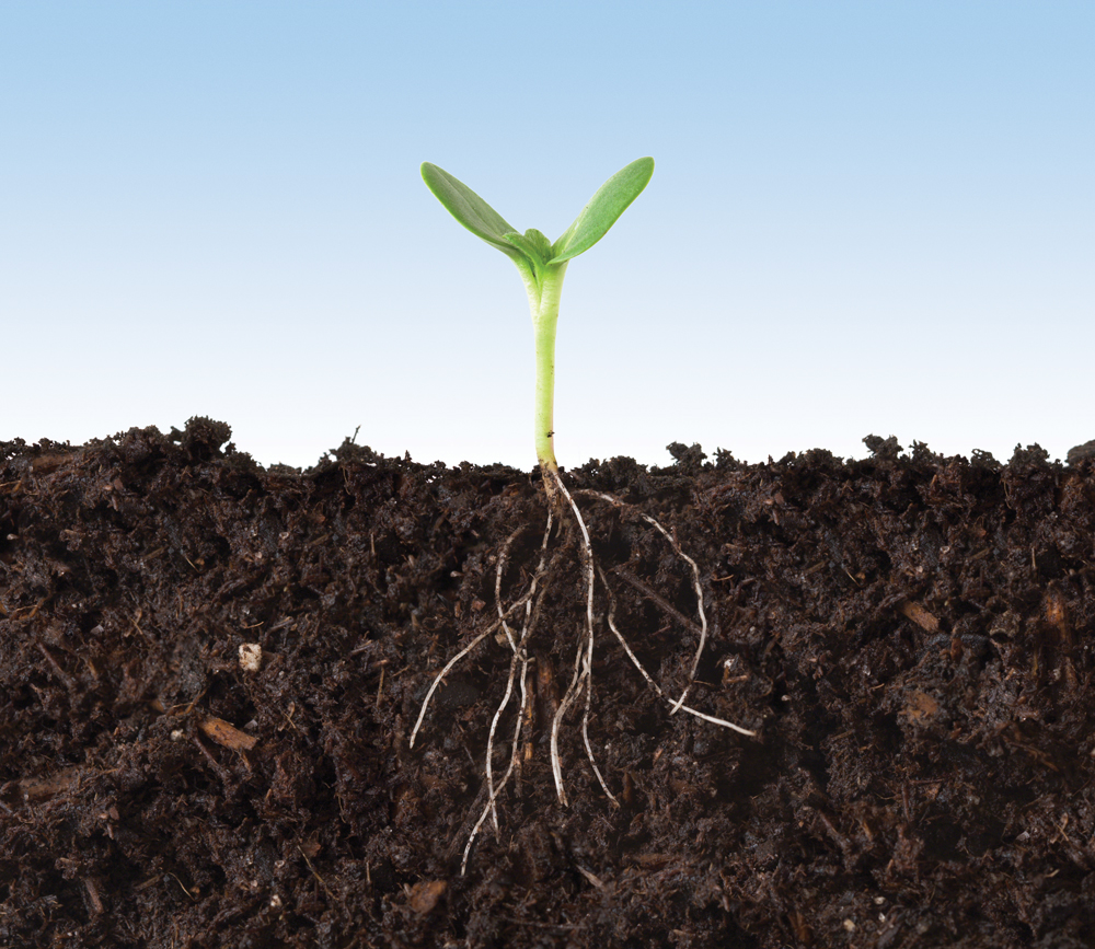 Regenerative ag takes soils off life support