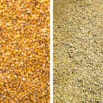 “China is going to import a lot more grains like barley, sorghum, and corn in the new marketing year, as the domestic (corn) prices would remain high.” – Xie Jinjiang.