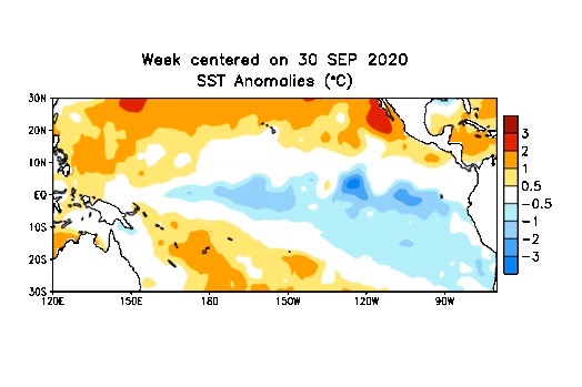 Sea surface temperature (SST) anomalies over the southern Pacific for the week centred on Sept, 30, 2020. (CPC.ncep.noaa.gov)

