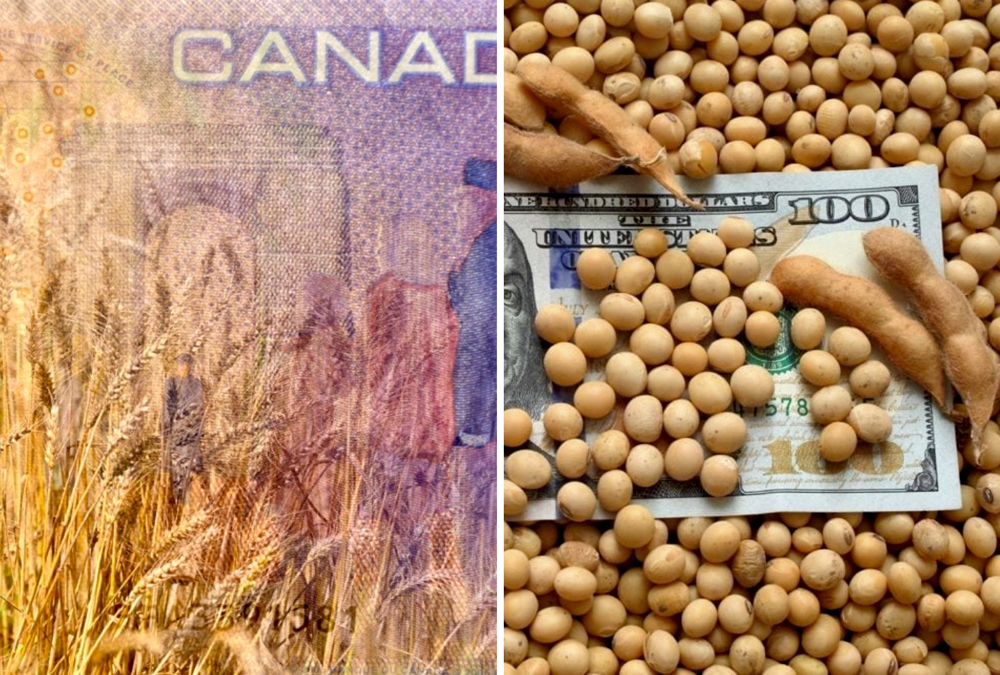 The U.S. was already dramatically outspending Canada with its latest Farm Bill. But now it’s thrown repeated ad hoc programs at the sector under the guise of offsetting the effects of a trade war and the coronavirus.