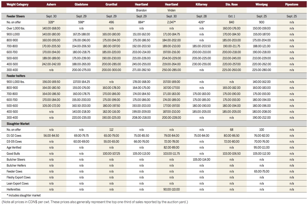 Lower cattle supplies supportive for prices