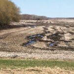 A wet fall in 2019 left Manitoba producers with a lot of challenges to overcome this spring.
