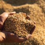 Now that this year’s crop is largely in hand, it’s time to revisit your marketing plan.