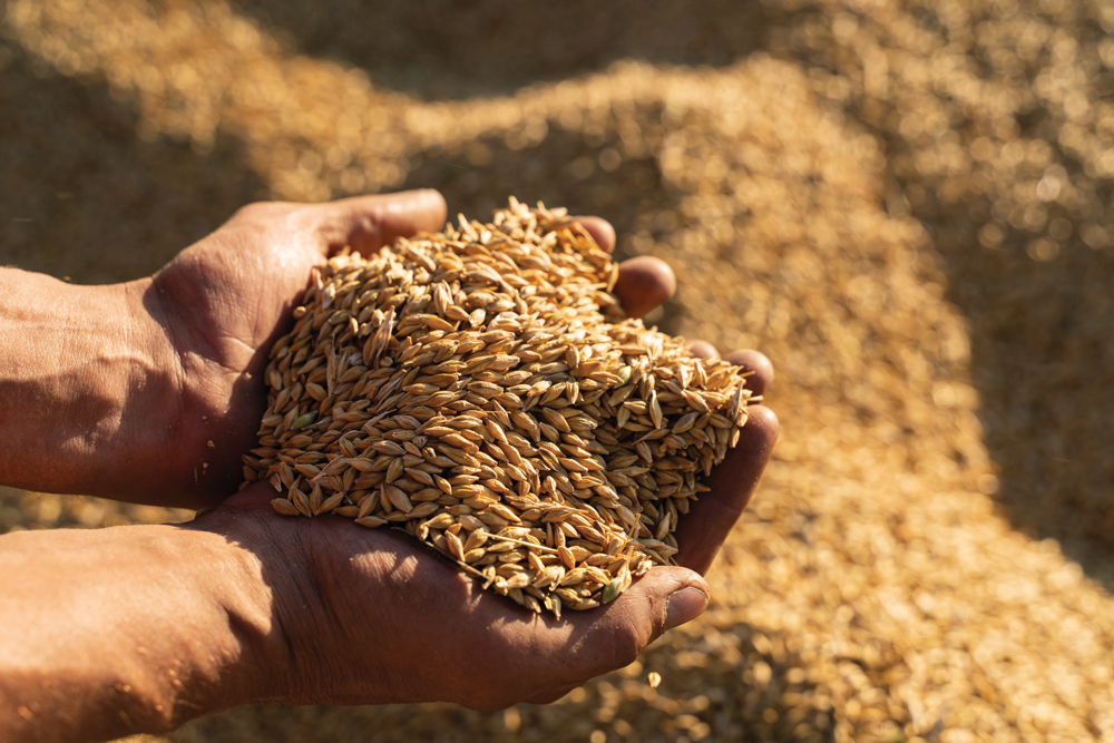 Now that this year’s crop is largely in hand, it’s time to revisit your marketing plan.